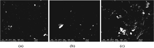 Figure 8. SEM microphotographs of PA6–PS composite matrix with B4C as a filler: (a) 5 wt./wt.%, (b) 15 wt./wt.% and (c) 30 wt./wt.%.