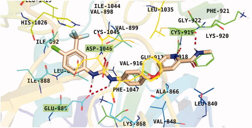 Figure 8. Sorafenib binding interactions with VEGFR-2 catalytic site.