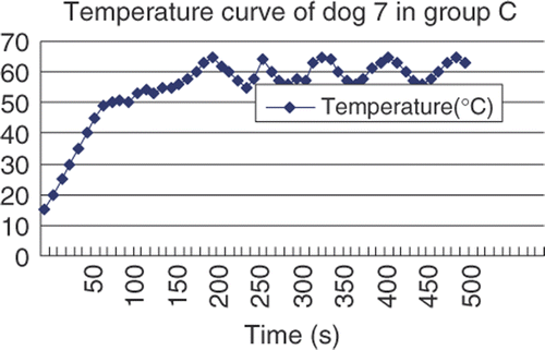 Figure 2. The curve showed the temperature was controlled between 55–65°C for 6 min in group C.