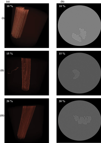 Figure 5. Internal microstructure XRM scans of selected single fibres, column wise (a) is the 3D external scan and (b) the internal cross-sectional scan. Row wise respectively (i) to (iii) is the 10%, 15% and 20% alkali treated fibre.