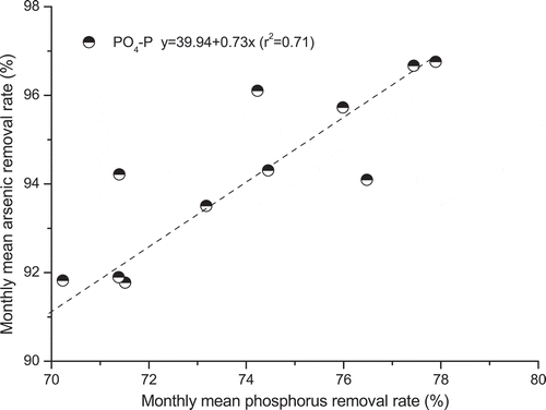 Figure 5. Higher monthly mean arsenic(V) removal rates observed at higher ortho-phosphate-phosphorus (PO4-P) removal rates for the selected representative wetland D.