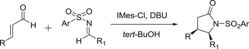 Scheme 108. Synthesis of γ-lactams.