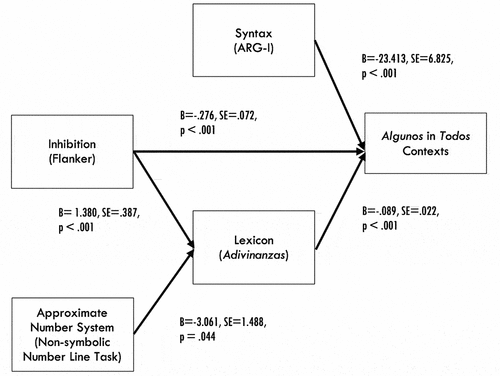 Figure 3. Syntax, lexicon and inhibition predict algunos interpretations in contexts where todos (“all”) would be correct; inhibition and approximate number predict lexicon: Fisher’s C = 2.783, p = .595, df = 4, AIC = 18.783. (Source: Grinstead et al. Citation2022, Figure 8. Reprinted by Permission of SAGE Publications).