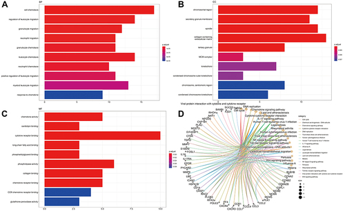 Figure 3 The functional enrichment analysis of brown module genes involved in stroke. (A) biological process. (B) Cell components. (C) Molecular function. (D) KEGG enrichment analysis.