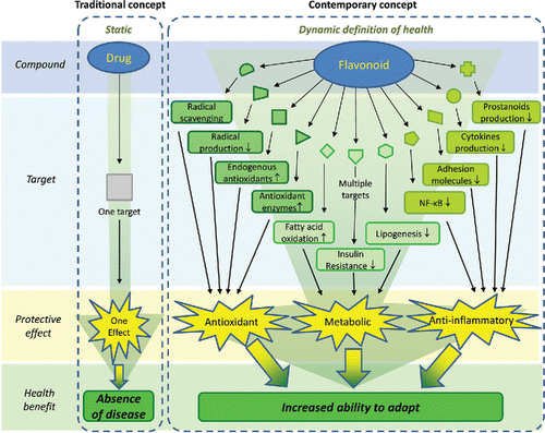 Figure 2. “Traditional” concept of action of drugs versus the contemporary concept of action of bioactives such as flavonoids. While traditional drugs are developed to act on one target, leading to absence of disease, flavonoids act on multiple targets, affecting diverse pathological processes, leading to increased ability to adapt. This fits seamlessly in the pathophysiologic model of NAFLD, since diverse pathological processes are involved (Fig. 1).