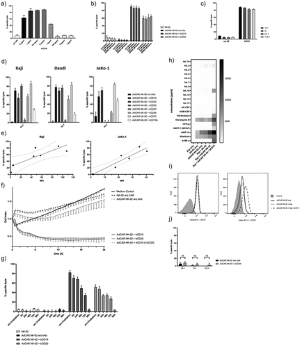 Figure 3. AdCAR NK-92-mediated tumor cell lysis. AdCAR NK-92 cells were co-incubated with calcein-labeled lymphoma cell lines in the presence or absence of indicated biotinylated antibodies for 2 h. Specific lysis is shown as mean ± SD, n = 3. Using the Raji cell line as target, an optimal bAb concentration of 100 ng/ml was chosen after titration of bCD19 (a). Free biotin added in excess of physiological concentrations showed no impairment of AdCAR-mediated lysis of lymphoma cells (b). Various E:T ratios utilizing AdCAR NK-92 cells as effectors and Raji cells as target were analyzed using a calcein release assay (c). Biotinylated antibodies, already utilized for the flow cytometry screening panel (Table 1), were tested with Raji, Daudi and JeKo-1 cells as target in a CRA (d). Target antigen expression levels were correlated with their respective AdCAR NK-92-mediated tumor cell lysis (e). Kinetics of AdCAR-mediated lysis of Raji cells was assessed using the xCELLigence real-time cell-analysis system at an E:T ratio of 5:1 (f). Cytotoxic effector function of AdCAR NK-92 cells irradiated with 10 Gy at indicated time points was assessed using Raji cells as target (g). The release of cytokines by NK-92 cells was measured using the Bio-Plex Pro human cytokine 17-plex assay and is shown as a heatmap (h). AdCAR NK-92 cells were co-incubated with Raji cells in the presence or absence of bCD19 for 6 h and screened for expression of FasL (CD178) and TRAIL (CD253) via flow cytometry (i). Finally, AdCAR NK-92-mediated lysis of calcein-labeled parental NK-92 cells using bCD56 as adapter molecule (j) was tested for the assessment of possible fratricide.