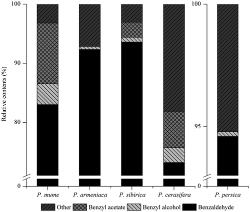 Fig. 3. The relative contents of benzaldehyde, benzyl alcohol and benzyl acetate in ethyl acetate extracts from the flowers of 5 related plants of the Prunus species.Notes: “Other” represented the total extract compounds excluding these three compounds.