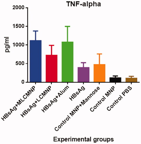 Figure 13. Results of TNF-α cytokine assay. Data presented as mean ± SD of 10 mice per group. Immunization with MLCMNP-HBsAg significantly increased TNF-α cytokine versus the LCMNP-HBsAg group.