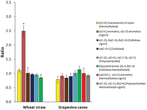 Figure 2. Degradation ratios of chemical bonds representative of grapevine canes and wheat straw determined by attenuated total reflectance Fourier transform infrared (ATR-FTIR) spectroscopy at 14 days after inoculation. Ratios correspond to the value obtained from the lignocellulose biomass with fungal growth over lignocellulose biomass without fungal growth. Bond vibration: ν (stretching), δ (bending), s (symmetric), a (asymmetric). All the measurements were performed in biological triplicates. Error bars indicate standard deviation. Asterisk stands for chemical bonds significantly degraded or enriched after fungal growth (one-way ANOVA; P < 0.05; see also SUPPLEMENTARY FIGS. 1 and 2).