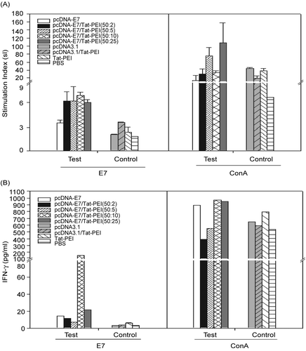 Figure 5.  Lymphocyte Transformation Test [LTT] (A) and analysis of cytokine secretion (B) in mice immunized by E7 in different formulations at 3 weeks after booster. Splenocytes of two mice from each group were isolated and stimulated by either E7 (10 μg/ml) or ConA (5 μg/ml) for 5 days and finally IFN-γ levels were measured. All assays were performed in triplicate and at least for two mice. Error bars indicate mean values and SD are expressed in pg/ml.