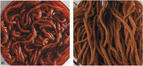 Figure 12. The coloration of merino wool yarns with henna, a) Soaked in extract solution, and b) Dried