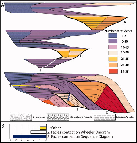 Figure 9. Posttest low sea level answers. The color of each facies represents the number of students who identified that facies as part of a low sea level package, question 8 for the post-assessment (A). Low sea level packages, defined by facies below the continental shelf, are outlined with a thick black line on both the sequence and Wheeler diagram. The number of students that highlighted (1) something other (e.g., identifying contact between stratigraphic units) or a facies contact rather than a facies on the Wheeler diagram or the sequence diagram (B).
