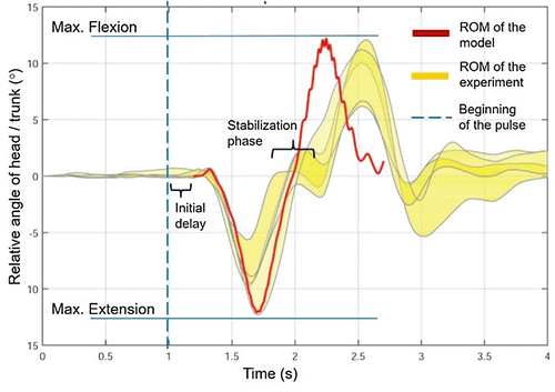 Figure 2. ROM of the head respect to trunk for one male floppy volunteer for 5 identical pulses. Yellow: experiments, red: model.