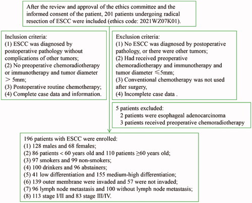 Figure 1. Enrolment criteria and clinicopathological data of 196 ESCC patients.