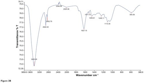 Figure 2B Characteristic Fourier transform infrared absorption spectra for Cassia fistula after bioreduction of gold ions to gold nanoparticles. 30 days, blood sugar levels were 211.05 ± 5.40 mg/dL and 168.47 ± 16.18 mg/dL, respectively. Rats that also received insulin showed a decrease in blood sugar levels. In the diabetic control rats, blood sugar levels reached a peak by the end of the experimental period.