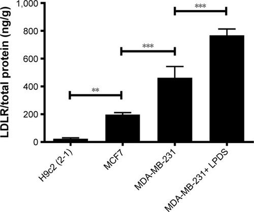 Figure 2 LDLR expression in H9c2 (2-1), MCF7, and MDA-MB-231 cells incubated with 10% FBS and MDA-MB-231 cells incubated with 10% LPDS.Notes: **P<0.01; ***P<0.001. Each value represents the mean ± SD (n=3).Abbreviations: LDLR, low-density lipoprotein receptor; FBS, fetal bovine serum; LPDS, lipoprotein-deficient serum; SD, standard deviation.