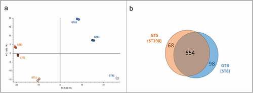 Figure 3. General results of the differential shotgun proteomics of the Staphylococcus aureus secretome obtained in brain-heart infusion (BHI) broth. (a) Principal Component Analysis based on the normalized protein abundances. (b) Venn diagram illustrating the distribution of the 720 proteins identified in the secretomes of the two GT (ST), showing shared proteins and differential proteins identified for each sample group.