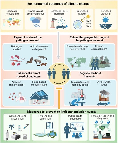 Figure 3. Environmental outcomes of climate change, potential climate-regulated mechanisms effects that can promote EID outbreaks, and measures that can be taken to prevent or limit EID transmission events. Figure created with Biorender.com.