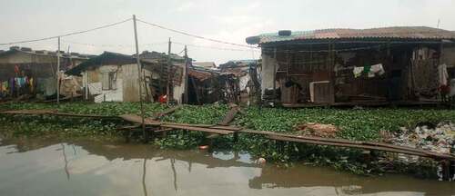 Figure 2. Vegetated land cover (by water hyacinth) in Idi-Araba settlement.