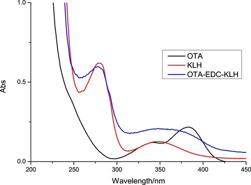 Figure 3. The UV spectra characterization for OTA-EDC-KLH, OTA, and KLH.