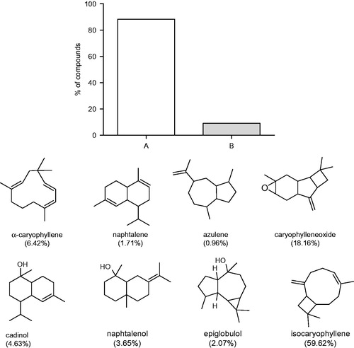 Figure 1. Chemical composition of the EOA and % of sesquiterpenes oxygenated (A) and not oxygenated sesquiterpenes (B).