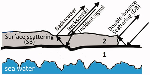 Figure 9. Configuration of the scattering mechanism from rafted ice based on a two-layer model where layer (2) overrides layer (1) with a saline interface (liquid of frozen) between them. Two scattering mechanisms are shown, SB off both top and bottom surfaces of the rafted layer (2), and DB off the dihedral shape of the raised edge of layer (2).