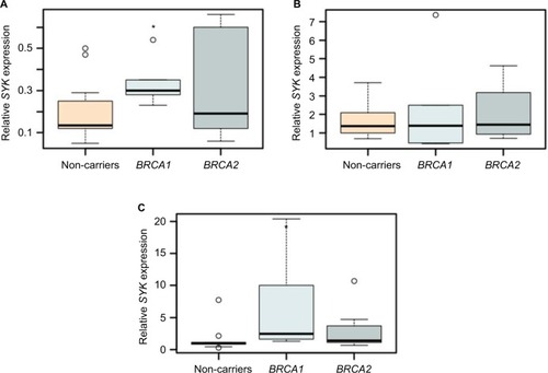 Figure 4 SYK expression levels may distinguish control from BRCA1-mutated lymphocytes.Notes: The box plots represent the expression of SYK in lymphocytes of BRCA1/2 mutation carriers and controls without irradiation (A) and at 1 hour (B) and 6 days (C) following irradiation, as determined by real-time qPCR. GAPDH was used for normalization. (n=4–12/group). For all experiments, *P<0.05, calculated using Student’s t-test.Abbreviations: qPCR, quantitative polymerase chain reaction; SYK, spleen tyrosine kinase.