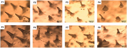 Figure 3. F1–8 are micrographs of SH-MN prepared as different formulations.