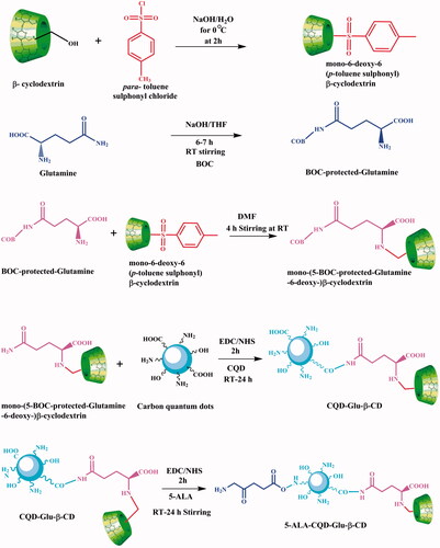 Figure 1. Overall representation for the preparation of 5-ALA-CQD-Glu-β-CD nanocarrier.