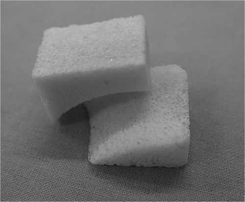 Figure 2. Tibial and talar grafts manufactured from bovine cancellous bone according to preoperative planning data.