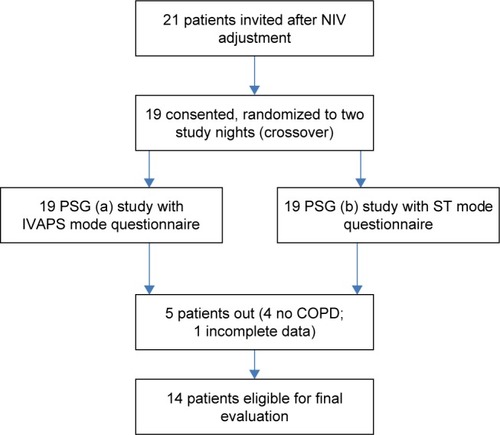 Figure 1 Study flow chart.