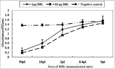 Figure 3. Immune sera antibodies blocked BHc binding to ganglioside. The sera from mice immunized with three doses of 1 or 10 μg recombinant BHc formulated with aluminum hydroxide adjuvant were used to block BHc binding to GT1b. Sera from mice injected with PBS and Alhydrogel were used as negative control. Values represent means from 4 separate sera samples of mice with bars representing standard mean of deviations.