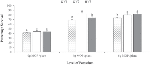 Figure 3. Effect of different rate of potassium fertilizer on the rate of survival of different cocoa varieties during drought recovery (average of the two cocoa cropping seasons).
