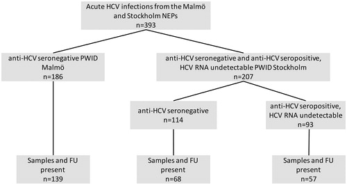 Figure 1. Flowchart of patients in the study. NEP (needle exchange program), PWID (person who inject drugs), anti-HCV seronegative (anti-HCV antibody assay below the cut-off level of detection at inclusion), and anti-HCV seropositive (anti-HCV antibody assay above the cut-off level of detection at inclusion).