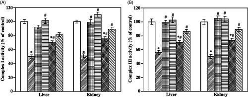 Figure 5 Effect of Sh-SeNPs and SAG-Sh-SeNPs against APAP toxicity-induced decrease in mitochondrial complex I (A) and complex III (B) activity in rat liver and kidney. Results are expressed as % variation in comparison to control animals as mean ± SD (n = 4 per group). *p < .05 vs. control; #p < .05 vs. APAP treated rat. The 100% value of complex I and complex III activities corresponds to, liver: 0.725 ± 0.101; kidney: 0.55 ± 0.1 µmoles/min/mg of protein and liver: 1.017 ± 0.05; kidney: 0.87 ± 0.04 µmoles/min/mg of protein, respectively. [Display full sizeControl; Display full sizeAPAP; Display full sizeSh-SeNPs; Display full sizeSAG-Sh-SeNPs; Display full sizeSh-SeNPs + APAP; Display full sizeSAG-Sh-SeNPs + APAP].