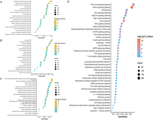 Figure 4 Results of GO and KEGG analyses visualized by imageGP platform.