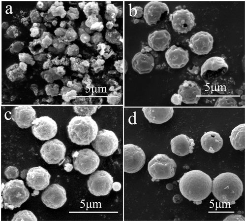 Figure 4. SEM images of β-CuSCN hollow spheres prepared at different reaction stages: (a) 5; (b) 8; (c) 11; and (d) 24 h.