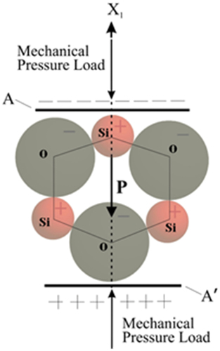 Figure 10. Direct piezoelectric effect within the simplified unit cell of sintered nanosilica ceramic longitudinal piezoelectric effect.