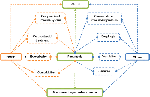 Figure. 2. Risk factors for pneumonia and ARDS in patients with stroke and COPD.