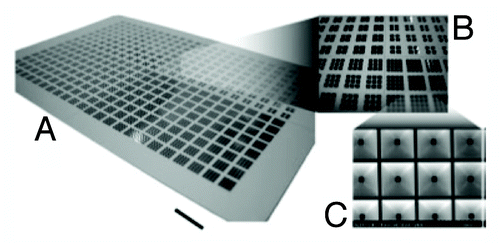 Figure 1. Photographs of the microplate showing sloped walls for efficient cell seeding (Courtesy: Lindstrom et al., 2008).Citation7