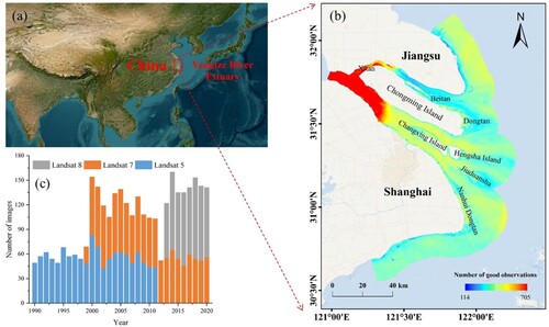 Figure 1. (a) The red rectangle represents the study area, the Yangtze River Estuary. (b) The spatial distribution of the number of good-quality observations used in the COLD algorithm. (c) The number of Landsat images from 1990 to 2020.