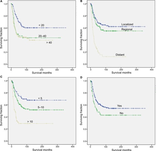 Figure 2 Kaplan–Meier method estimated CSS in patients with RMS of the limbs after surgery, stratified by (A) age at diagnosis (years), (B) tumor stage, (C) tumor size (cm), and (D) radiation treatment.Abbreviations: CSS, cancer-specific survival; RMS, rhabdomyosarcoma.