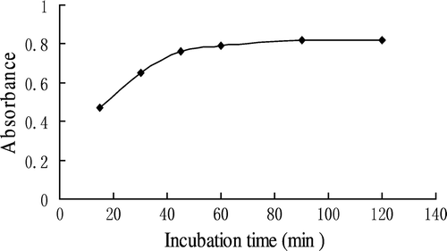 Figure 2.  Effect of incubation time of DAB-QL solution on color development. 100 μL of HA standard solution was allowed to react with 2.0 mL of 2.5% DAB-QL and 0.2 mL of acetic anhydride and at room temperature for 30 min.