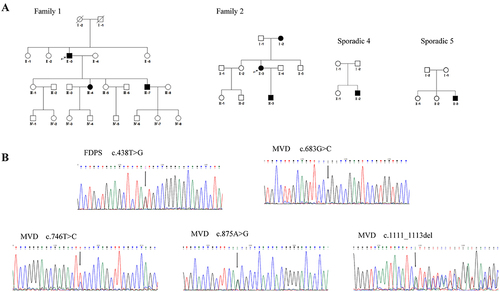 Figure 2 Pedigree chart and genetic mutation of PK in this study. (A) The pedigree chart of families 1–2 and sporadic cases 4–5. The filled symbols represent affected members; the arrow indicates the proband. (B) Mutational analysis of mevalonate pathway genes. The black arrow shows the mutation site.