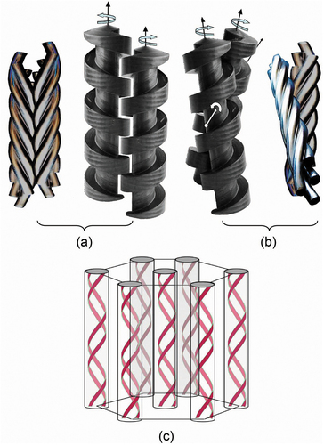 Figure 26. (Colour online) Left- and right handed helices packing together, (a) right- hand packing with left-hand, and (b) packing together of the same hands causes a lateral twist. The structure of a hexagonal phase composed of double helices.