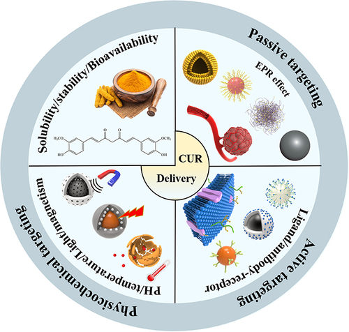 Figure 1 Schematic diagram of the physical and chemical properties of curcumin and its classification of targeted drug delivery systems.