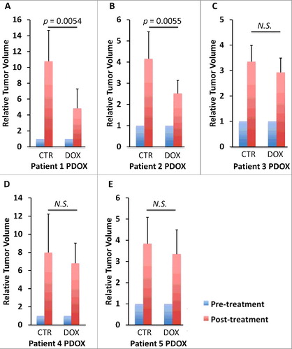 Figure 1. DOX sensitivity of 5 different USTS PDOX models. Bar graphs show relative tumor volume at post-treatment relative to pre-treatment tumor volume. Error bars: ± SD.