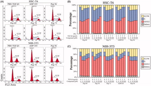 Figure 3. Pep70-induced cell-cycle arrest. Flow cytometric cell-cycle analysis in HSC-T6 and NIH-3T3 cells subjected to different concentrations of peptide treatment under 5 ng/ml rat TGF-β1 stimulation for 24 h. (A) Flow cytometric histograms showing cell distributions in the G0/G1, S and G2/M phases of the cell cycle. (B and C) Quantification of the DNA content in the G0/G1, S and G2/M phases. This study was conducted in duplicate, and the data from one representative experiment are shown.