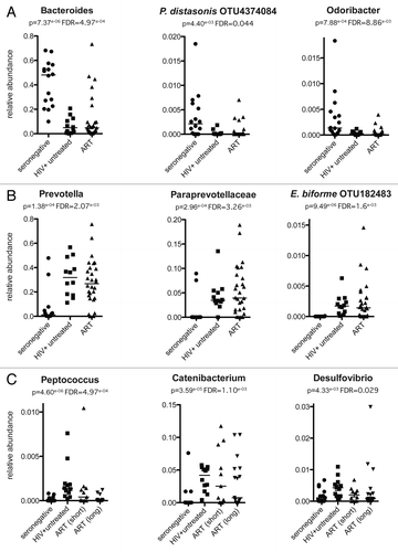 Figure 1. The degree to which ART restores health-associated prevalence to taxa that change in relative abundance varies across different bacterial taxa. The plots in this figure were selected across many significantly varying taxa to illustrate the point that taxa that change in relative abundance with untreated HIV infection differ in the degree to which they respond to ART. Panel A shows taxa with significantly decreased relative abundance with untreated HIV infection that did not generally return to levels typical of HIV negative controls with ART. Panel B shows taxa with significantly increased relative abundance with untreated HIV infection that rarely had levels typical of HIV negative controls with ART. Panel C shows taxa that significantly increase with untreated HIV infection that decrease in relative abundance progressively with short (<1 y) and long (1–9 y)-term ART. The relative abundance of each taxa in each fecal sample was estimated from 16S rRNA sequence data as described in reference Citation6 except that 14 additional individuals on ART, one additional individual with chronic untreated infection, and two additional HIV-negative controls were added to the previously described cohortCitation6 (Table 1). Briefly, the V4 region of 16S rRNA was PCR amplified and sequenced on a MiSeq sequencer (Illumina). Sequences were demultiplexed and quality filtered using QIIME 1.8Citation55 and binned into 97% ID OTUs and filtered for chimeras using usearchCitation56 and the greengenes 3_8 reference database.Citation57 OTUs were assigned to higher level taxa using the RDP classifier trained on the greengenes database and the number of sequences per sample were standardized to 9864 before performing statistical tests. The p-values listed on each plot indicates the significance of differences across HIV-negative, chronic HIV-positive untreated, and ART cohorts as calculated using a Kruskal-Wallis test. The p-values after correcting for multiple comparisons with the FDR techniqueCitation58 are also listed and were calculated with the group_significance.py script of QIIME. The bar on each plot indicates the median.