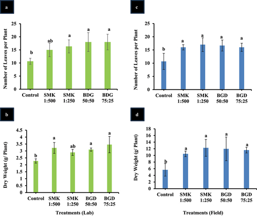 Figure 4. Analysis of growth parameters in SMK- and BGD-treated plants. (a) Leaf number in lab conditions, (b) dry weight in lab conditions, (c) leaf number in field conditions, (d) dry weight in field conditions. The data are expressed as mean ± standard deviation of three replicates. The bars labeled with different alphabets are statistically significantly different at p < 0.005.